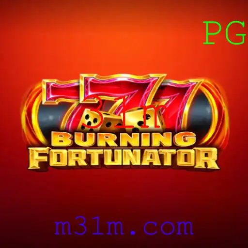 31m Casino App