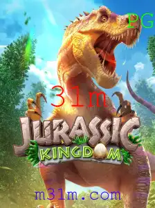 31m Casino App