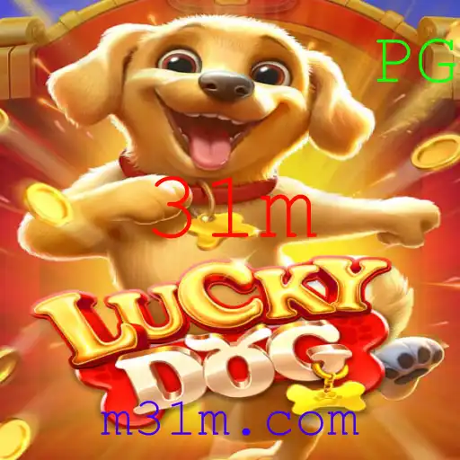 31m Casino App
