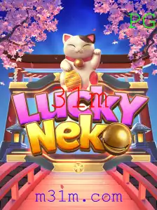 31m Casino App