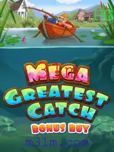 31m Casino App